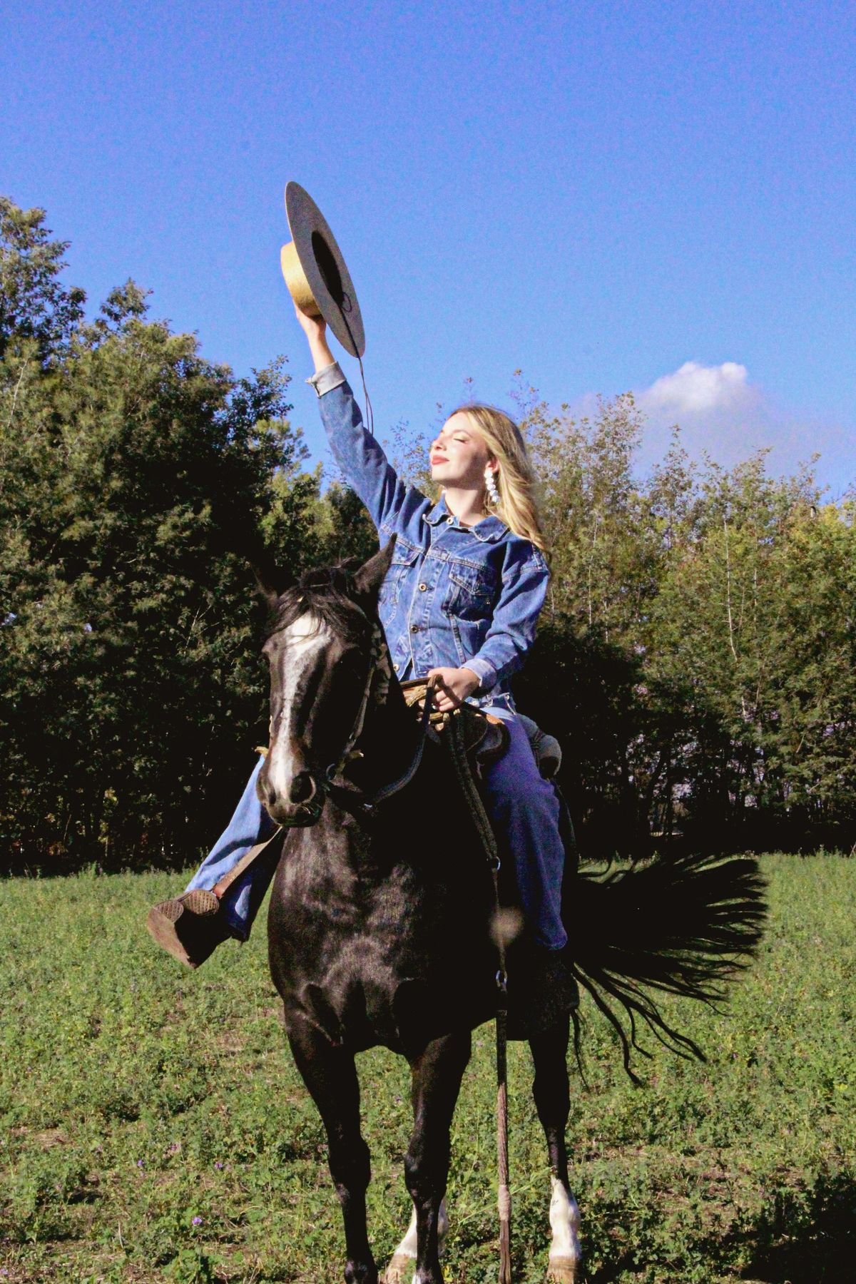 Retrato a caballo, sombrero en alto, en un campo